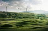 Wind turbines in fields for sustainability reporting