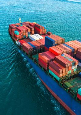 Verification of Conformity, Sea, Shipment, Cargo, Ship, Container