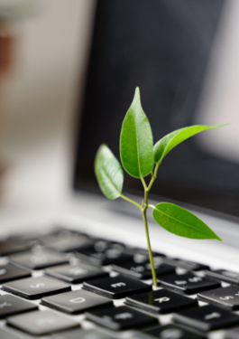 Laptop keyboard with plant growing on it. Digital sustainability. Carbon efficient technology.